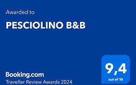 Pesciolino B&B